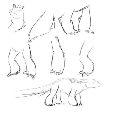 Night Fury Reference Sheet, How To Draw Night Fury, Dragon Legs Drawing, Night Fury Anatomy, Nightfury Reference, Leg Sleeve Sketch, Dragon Art Base, How To Train Your Dragon Sketches, Dragon Base Poses