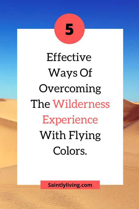 overcoming the wilderness experience Wilderness Season, Proverbs 31 Women, Prayers Of Encouragement, Biblical Womanhood, Godly Life, Trusting God, Hope In God, Get Closer To God, Proverbs 31 Woman