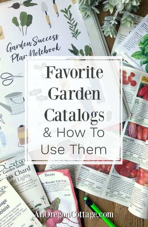 Find the best garden seed catalogs to subscribe to free so that you can learn all the newest varieties available and growing information, plus tips on how to use them and seeds to try. #gardening #catalogs #seedstarting Oregon Cottage, Cottage Recipes, Garden Site, Garden Catalogs, Seed Catalogs, Seed Saving, Work Diy, Healthy Garden, Outdoor Gardens Design