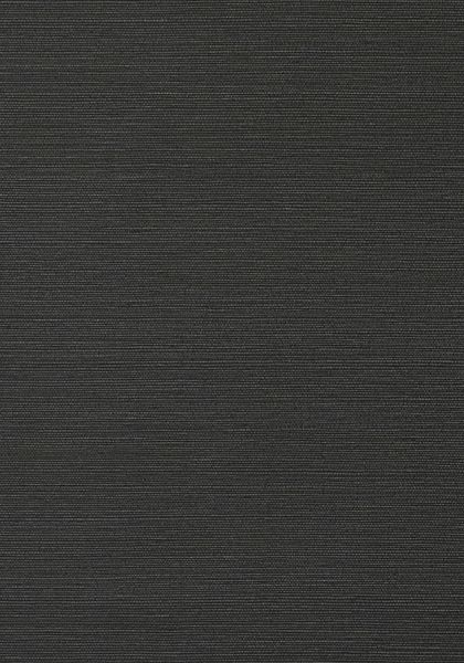 TALUK SISAL, Black, T75152, Collection Faux Resource from Thibaut Metamorphosis Design, Transparent Wallpaper, Auditorium Design, Body Pattern, Thibaut Wallpaper, Go Wallpaper, Texture Material, Air Canada, Material Board