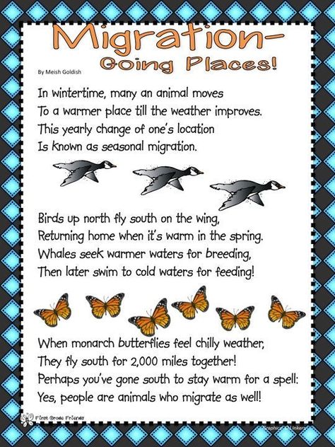 Image Result For Bird Migration Worksheets Migration Preschool, Bird Theme Preschool, Hibernation Preschool Theme, Hibernation Preschool Crafts, Migration Activities, Hibernation Preschool Activities, Hibernation Preschool, Hibernation Activities, Owls Cute