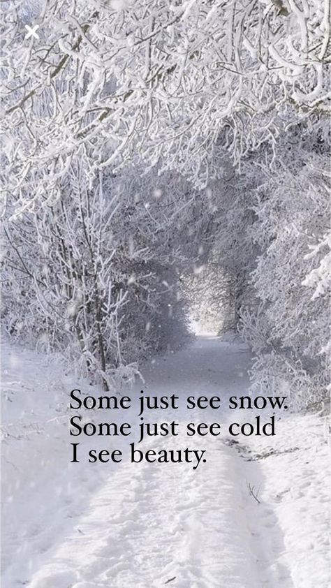 The Magical Holidays of Christmas & Winter ⛄️❄️🎄🎅🏻 | ❤️❄️❤️ | Facebook Snow Quotes Beautiful, Snow Quotes, Season Quotes, Winter And Christmas, Christmas Scenery, Winter Quotes, Wonderland Quotes, Quotes Beautiful, Winter Background