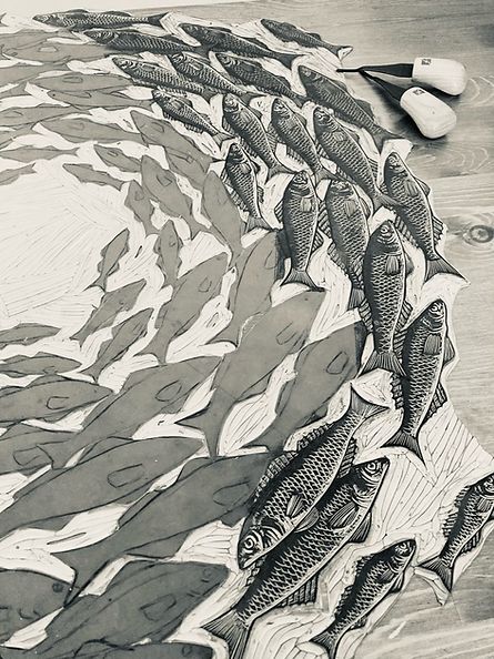 This is a large, hand illustrated and carved Linocut measuring 78cm x 78cm .I have drawn my interpretation of a School of Bass fish directly onto the lino block and then using fine detail printmaking tools, carved the detail.... many many scales! I have titled this Artwork ‘Go Your Own Way’ and if you look closely you’ll see one of the fish swimming in the opposite direction. It is printed by hand on slightly textured, black printmaking paper.This print is part of a limited edition of 20.Please Lino Block, Fish Artwork, Bass Fish, Go Your Own Way, Linoleum Block, Linocut Art, Printmaking Art, Fish Swimming, Fishing Theme