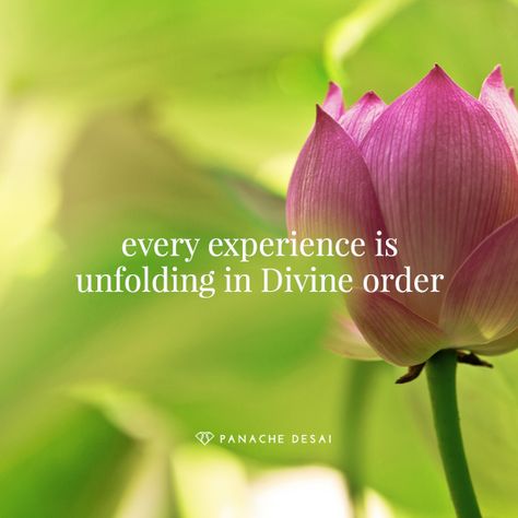 Everything unfolding in your life has been laid out for you. Every experience you are having is bringing you closer to your true self. Inspirational Words Of Love, Order Quotes, Life Choices Quotes, A Course In Miracles, Millionaire Quotes, Special Quotes, True Self, Best Inspirational Quotes, Spiritual Wisdom