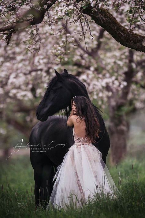 Horse Photoshoot Ideas, Equine Photography Poses, Horse Senior Pictures, Quinceanera Pictures, Horse Photography Poses, Quinceanera Photoshoot, Pictures With Horses, Quinceanera Photography, Horse Wedding