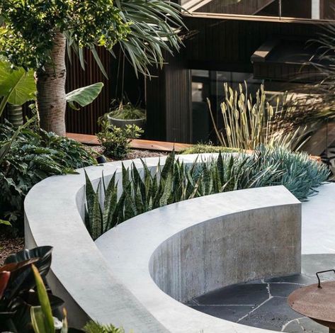 Inbuilt seating can be a great design feature whilst adding functionality. This example of a curved concrete bench creates an intimate atmosphere surrounding a fire pit, enhanced with plants and greenery. #exoticnurseries Curved Outdoor Benches, Fire Pit Landscape, Concrete Bench Outdoor, Concrete Bench Seat, Winter Fire, Curved Bench, Concrete Bench, Front Courtyard, Fire Pit Seating