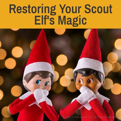 Touched my elf | Touched Elf on the Shelf | Christmas magic Elf On The Shelf Lost Magic, Elf For Misbehaving Kids, Elf On The Shelf Dropping Out Of An Airplane, Christmas Questions, Kids Misbehaving Elf On The Shelf, Elf On The Shelf Child Misbehaving, Elf Magic, Curious Kids, Holiday Pins