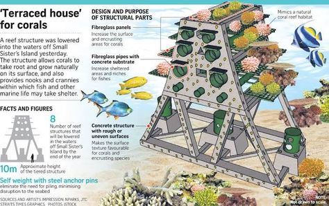 Permaculture Architecture, Ecosystem Project, Ark Ideas, Conservation Architecture, Ecosystems Projects, Best Shoujo Manga, Artificial Reef, Conservation Of Natural Resources, Temporary Structures