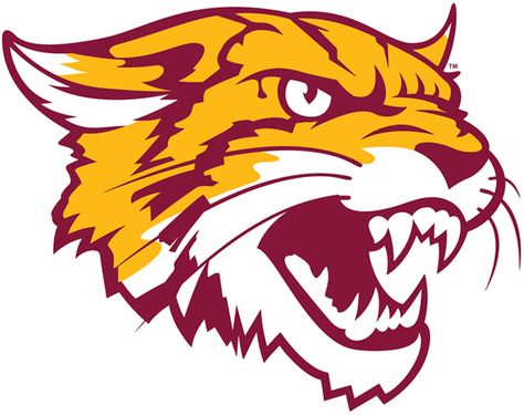 Bethune-Cookman Wildcats Alternate Logo (2016) - Bcu Wildcats, Bearcats Logo, Bethune Cookman University Logo, School Band Shirts, Cat Logos, Wildcat Mascot, Bethune Cookman University, Wildcats Svg, Athletic Branding