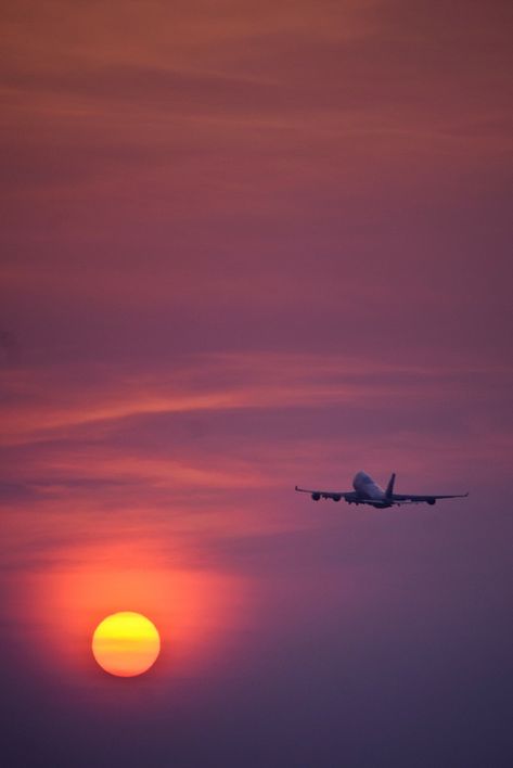 Plane, Airplane, Take-Off, Landing, Sunset, Flying, Fly Plane Photography, Airplane Wallpaper, Airplane Photography, Air Tickets, Ulsan, Sunrise Sunset, Vacation Trips, Time Travel, Travel Photos