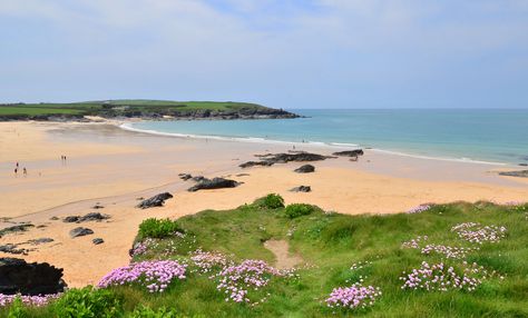 The beach at Harlyn Bay, Cornwall | Situated in between Padstow, which is about three miles to the east and Trevose Head to the west, Harlyn Bay is one of several beautiful sandy bays in this part of North Cornwall. Harlyn Bay Cornwall, North Cornwall, The East, Great Britain, Cornwall, Devon, United Kingdom, The Beach, England