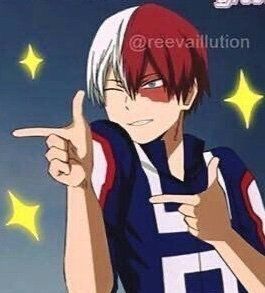 Funny Todoroki, Bnha Pfp, Mha Aesthetic, Anime Meme Face, Icy Hot, Memes Anime, Anime Meme, Dessin Adorable, Anime Stickers