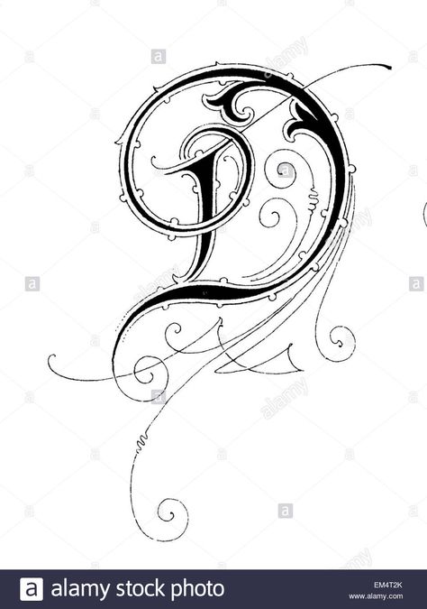 Download this stock image: Letter D, Font: Art Nouveau - EM4T2K from Alamy's library of millions of high resolution stock photos, illustrations and vectors. D Letter Drawing, Letter D Design Creative, D Calligraphy Letter, Letter D Drawing, Letter D Font, Letter D Design, Letter D Tattoo, D Font, D Letter Design