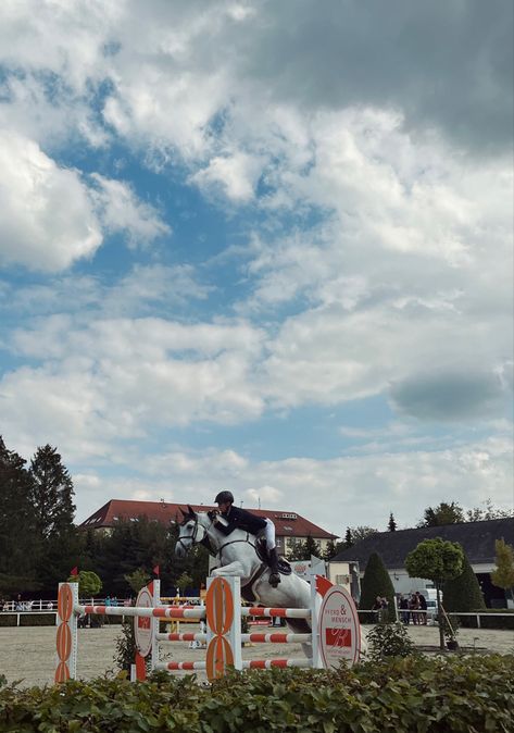 horse male equestrian show jumper showjumping competition aesthetic equestrian lifestyle Horse Shows Aesthetic, Male Equestrian Aesthetic, Careers Aesthetic, Male Equestrian, Competition Aesthetic, Aesthetic Equestrian, Show Jumper, Olympic Equestrian, Equestrian Jumping