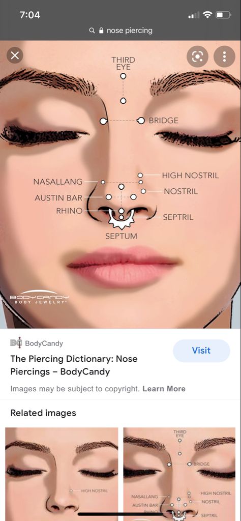 Piercing Names Face, Nose Piercing Names Chart, Nose Piercing Diagram, Nose Peirce Chart, All Piercings Types Face, Nose Piercing Guide, Nose Piercing Placement Chart, Nose Piercing Chart, Piercing Apprenticeship