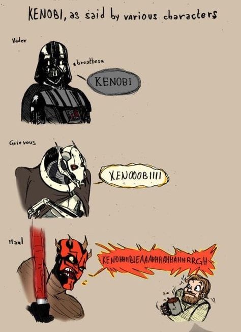 Star Wars Meme, General Grievous, Funny Star Wars Memes, Meme Comics, Star Wars Jokes, Star Wars Comics, Star Wars Artwork, Darth Maul, Star Wars Fan Art