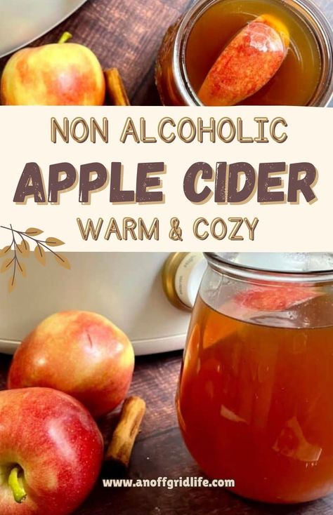 With the perfect blend of spices, this non-alcoholic crockpot apple cider recipe is a must-try for cozy autumn days. Effortlessly made in a slow cooker, it's budget-friendly and sure to warm hearts with its comforting flavors. Ideal for gatherings or quiet moments at home, enjoy the essence of fall in every soothing sip. Crockpot Apple Cider Recipe, Alcoholic Apple Cider Recipe, Crockpot Apple Cider, Slow Cooker Apple Cider, Leftover Apples, Apple Cider Recipe, Warm Apple Cider, Spiced Apple Cider, Cider Recipe