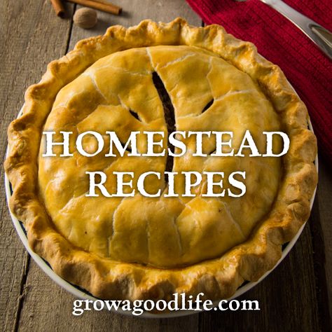 Arkansas Recipes, Old Fashioned Home, Homemaker Recipes, Rustic Cooking, Homestead Recipes, Impressive Appetizers, Homestead Kitchen, Homemade Pantry, Amish Recipes