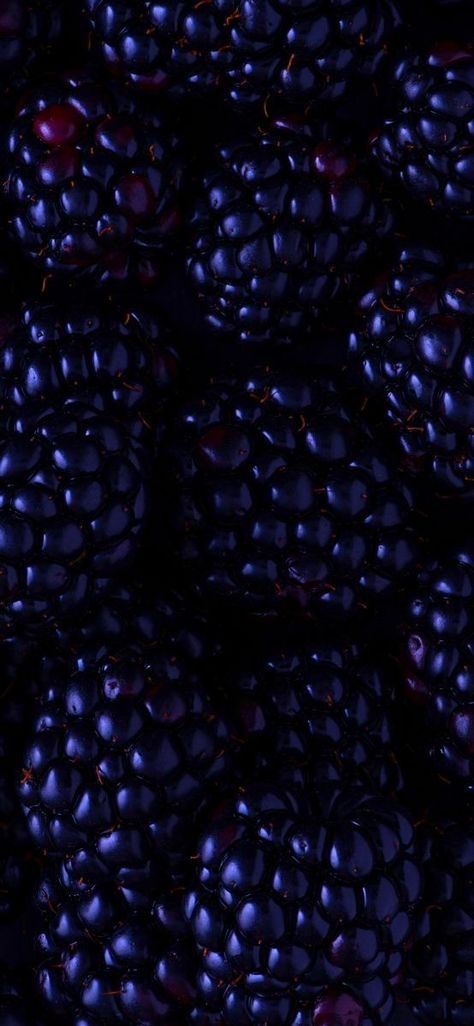 Berries Aesthetic, Berry Background, Berry Aesthetic, Dark Iphone Wallpaper, Berries Photography, Berry Wallpaper, Wallpaper Fruit, Fruits Wallpaper, Berries Wallpaper