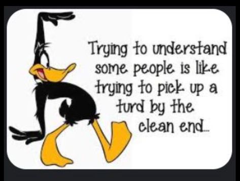 Daffy Duck Quotes, Duck With Knife, Duck Meme, Duck Quotes, Funny Day Quotes, Cute Duck, Funny Quotes Sarcasm, Funny Jokes For Adults, Daffy Duck