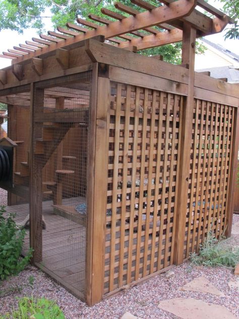 Outside Cat Enclosure, Dog Enclosures, Diy Cat Enclosure, Cat Habitat, Ideas For Cats, Cat Fence, Cats Outside, Cat Patio, Outdoor Cat Enclosure