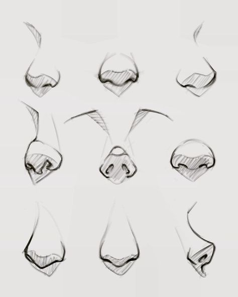 Straight Nose Drawing, Small Nose Drawing, Types Of Nose Drawing, Nose Shapes Reference, Front View Face Drawing, Simple Hair Drawing, Nose Drawing Reference, Face Shapes Drawing, Noses Drawing