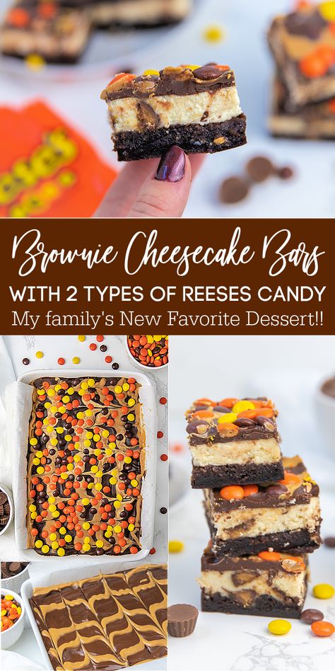 Brownie Types, Chocolate Lovers Dessert, Reese's Cheesecake, Brownie Cheesecake Bars, Reeses Desserts, Peanut Butter Cheesecake Brownies, Reeses Cheesecake, Comfort Food Desserts, Easiest Dessert