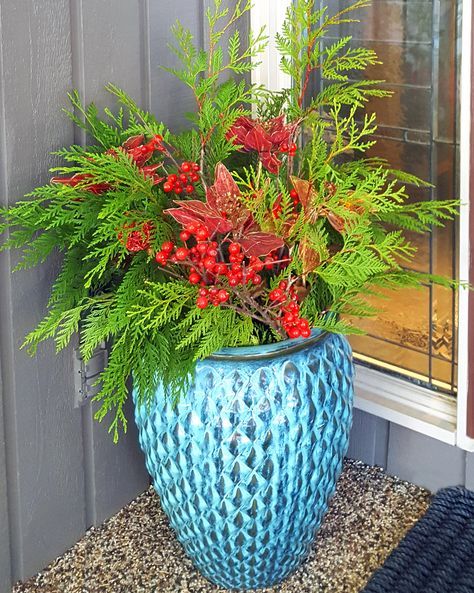 outdoor christmas planters blue ceramic Outdoor Christmas Planter Ideas, Christmas Planter Ideas, Christmas Planter, Red Twig Dogwood, Outdoor Christmas Planters, Twig Dogwood, Driftwood Christmas Tree, Rustic Baskets, Winter Planter