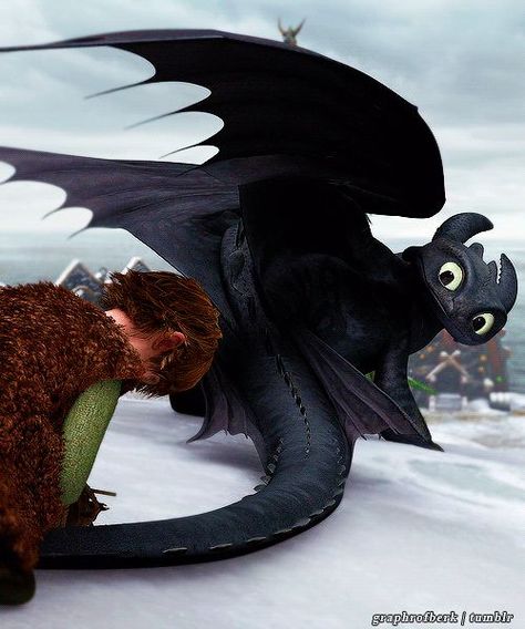 --Dragons- Gift of the Night Fury ... hiccup and toothless Gift Of The Night Fury, Toothless Costume, Dragon Gif, Night Fury Dragon, Astrid Hiccup, Httyd Art, Hiccup And Toothless, Hiccup And Astrid, Dreamworks Dragons