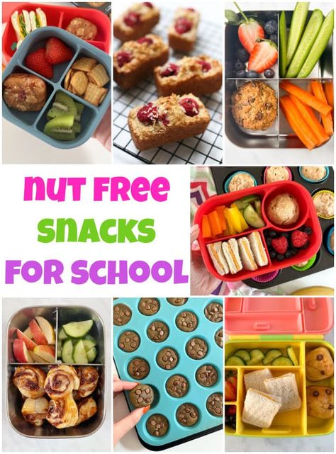 All of our nut free snacks for school are kid-friendly, easy to make at home and perfect for popping into snack boxes or lunch boxes! Nut Free Snacks For School, Nut Free Lunches For Kids, Nut Free Granola Bars, Snacks For School, Lunches For Kids, Nut Free Granola, Dairy Free Lunch, Nut Free Snacks, Slow Cooker Pasta Recipes