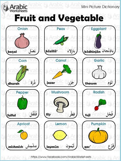 Arabic/English Picture Dictionary-  Fruit and Vegetables Arabic Vegetables, English Picture Dictionary, Taal Posters, English Vocabulary List, Arabic Vocabulary, Arabic Verbs, Hindi Language Learning, Teach Arabic, Learn Arabic Alphabet