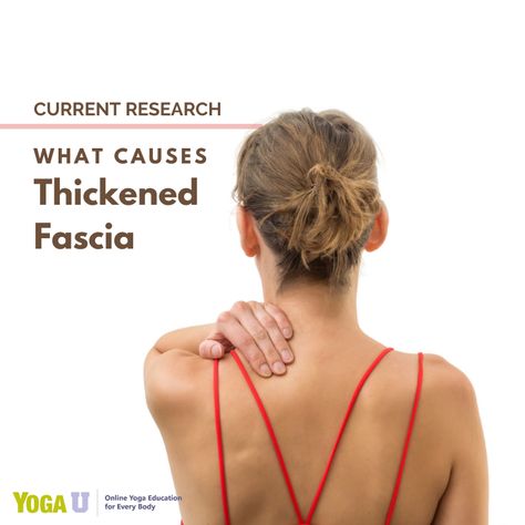 Thickened Fascia can contribute to decreased range of motion and both conditions are contributing factors for pain. Dr Russell Schierling explains the latest research and how this problem can be detected rather easily with ROM measurements. https://www.yogauonline.com/yoga-anatomy/current-research-what-causes-thickened-fascia #yogaanatomy #fascia #yogateachertraining #yoga #yogateacher #yogaeverydamnday #teachyoga #businessofyoga #formationyoga #beginnersyoga #professionalyogateacher Fascia Exercises Stretching, Fascia Exercises, Fascia Training, What Is Fascia, Fascia Stretching, Fascia Blasting, Core Exercises For Beginners, Fascia Blaster, Myofascial Pain Syndrome