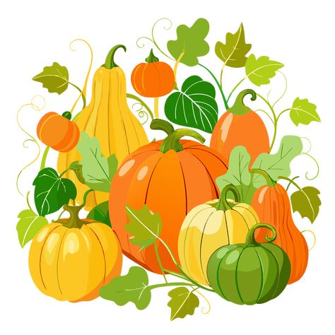 Assorted Pumpkins clipart Cute Cartoon Illustration, Pumpkin Outline, Pumpkin Vine, Thanksgiving Clipart, Pumpkin Images, Pumpkin Illustration, Pumpkin Vector, Pumpkin Clipart, Pumpkin Thanksgiving