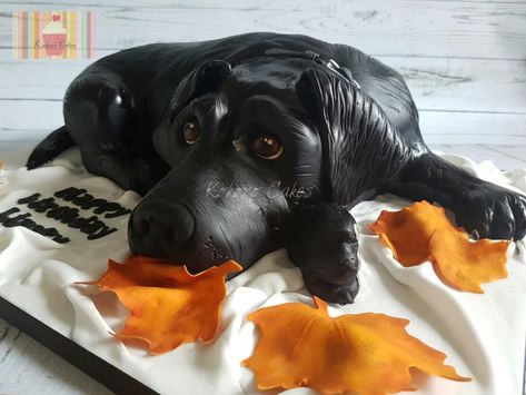 Black Labrador  - Cake by Kokoro Cakes by Kyoko Grussu Dog Birthday Cake Design, Labrador Cake, Vet Cake, Dogs Cake, Tulip Cake, Birthday Cake Design, 18th Cake, Black Labrador Dog, Gravity Defying Cake