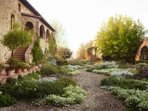 Tuscan Landscape Design, Tuscan Backyard, Italian Backyard, Luciano Giubbilei, Hornbeam Hedge, Entrance Garden, Tuscan Garden, Tuscan Landscaping, Under The Tuscan Sun