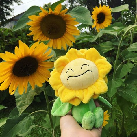 Sunflower Plushies, Pokemon Plushies Aesthetic, Fluffy Pokemon, Jay Core, Plant Pokemon, Playlist Art, Sunflower Plush, Silly Plushies, Sunflower Stuff