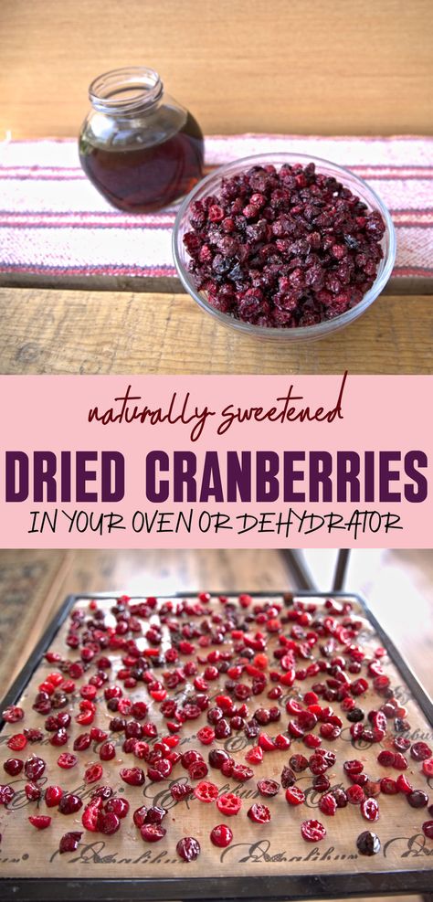 how to make naturally sweetened dried cranberries Dried Cranberries Recipes, Fresh Cranberry Recipes, Cranberry Recipe, Dried Cranberry, Simple Syrup Cocktails, Dehydrated Fruit, Cranberry Recipes, Dehydrated Food, Smoked Food Recipes