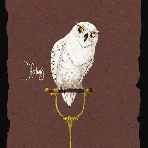 Young Harry Potter, Harry Potter Cards, Hedwig Owl, Owl White, Time Turner, Magical Creatures, Wizarding World, Insta Art, Harry Potter