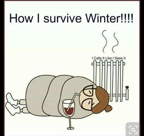 Wine Jokes, Wine Meme, Wine Quotes, A Glass Of Wine, Winter Nights, Wine Time, Wine Humor, Glass Of Wine, I Survived