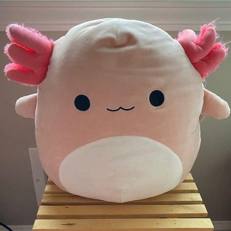 Cute Squishies, Kawaii Plush, Mia 3, Kawaii Plushies, Cute Pillows, Cute Stuffed Animals, Cute Toys, Cute Plush, Animal Pillows