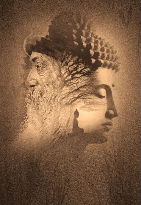 Osho Aesthetic, Osho Wallpaper, Buddha Wallpapers, Temple Ideas, Lord Buddha Wallpapers, Acharya Prashant, Philosophy Art, Sikh Quotes, Indian History Facts