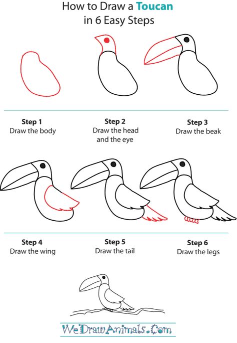 How to Draw a Toucan How To Draw A Toucan Step By Step, How To Draw A Toucan, Toucan Flying, Toucan Art, Sketch Note, Toucan Bird, Drawing Lessons For Kids, 2nd Grade Art, Wings Drawing