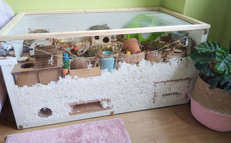 Big Hamster Enclosure, Linmon Ikea Hamster Cage, Bin Cage Ideas For Hamsters, Mouse Bin Cage, Linnmon Hamster Cage, Aquarium Hamster Cage, Syrian Hamster Enclosure, Ikea Linnmon Hamster Cage, Kawaii Hamster Cage