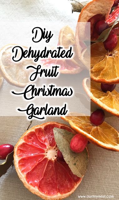 DIY dried fruit Christmas garland - Our Tiny Nest Diy Dried Fruit, Dried Fruit Christmas, Dried Fruit Garland, December Food, Fruit Garland, Michael Buble Christmas, Fruit Christmas, Christmas Simple, Minimalist Christmas Decor