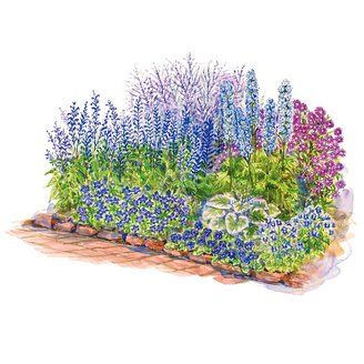 Blue-Theme Garden Plan Illustration Cottage Garden Plan, Small Garden Plans, Garden Design Layout Landscaping, Colorful Shrubs, Russian Sage, Long Blooming Perennials, Flower Garden Plans, Corner Garden, Cottage Garden Plants