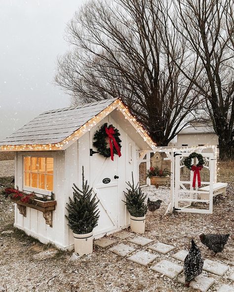 Christmas Shed, Cute Chicken Coops, Chickens In The Winter, Chicken Coop Decor, Chicken Shed, Diy Chicken Coop Plans, Chicken Coop Run, Coop Design, Chicken Garden