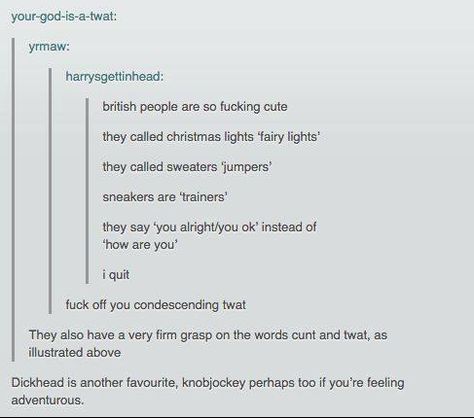 Uk Vs Us, Growing Up British, English Humor, British Things, British Humor, British People, Speak English, Funny Tumblr Posts, I Quit