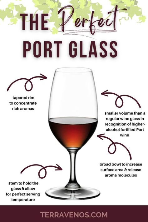 Port is it's own special wine and deserves it's own special glass. Here's why there's a perfect Port wine glass. #wine #winelover #portwine Port Glasses, Serving Wine, Port Wine, Wine Enthusiast, Wine Lovers, Wine Glasses, Wine Glass, Need To Know, Wine