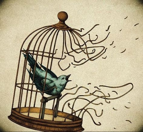 Freedom Drawing, Bird In A Cage, Cage Tattoos, Freedom Art, Album Artwork Cover Art, Famous Artwork, Next Tattoo, Celebrity Tattoos, Bird Drawings