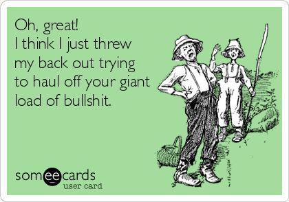 Oh,+great!+I+think+I+just+threw+my+back+out+trying+to+haul+off+your+giant+load+of+bullshit. Karma Bus, Oh Great, Snarky Humor, Little Things Quotes, Rose Bush, Having A Bad Day, Someecards, A Rose, Inspire Me